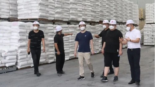 中海领潮供应链领导参观考察SG胜游